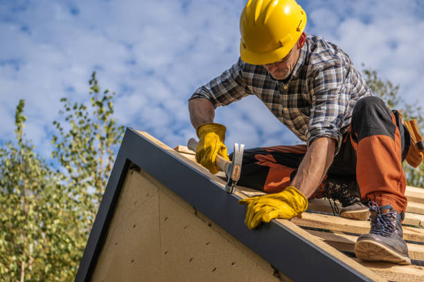 Best Solar Panel Roofing Installation  in Cooper, TX